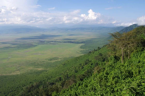 Paysage Dans Cratère Ngorongoro Tanzanie Afrique Est — Photo