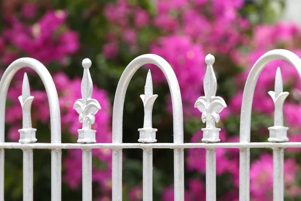 Close Uma Velha Grade Ferro Branco Cerca Decorativa Com Flores — Fotografia de Stock