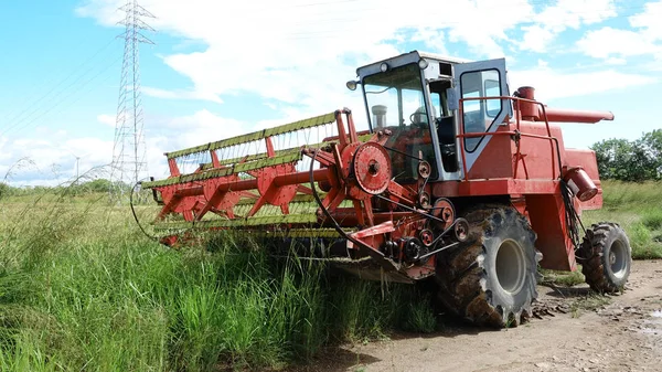 Hasat Pirinç Alan Panama Başlatmak Hazırlanıyor Makine Birleştirmek — Stok fotoğraf