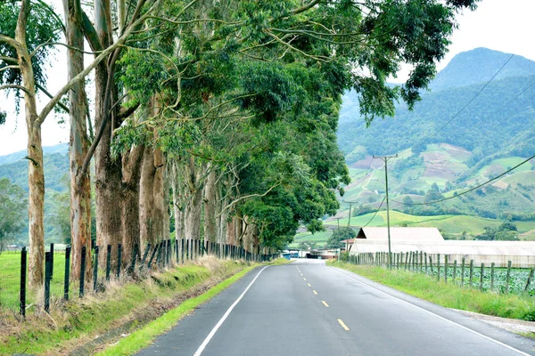 Lantlig Väg Cerro Punta Chiriqui Provinsen Höglandet Panama — Stockfoto