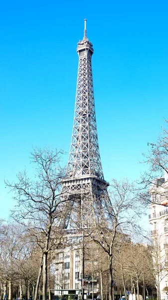 Eiffel Torony Télen Fák Mögött — Stock Fotó