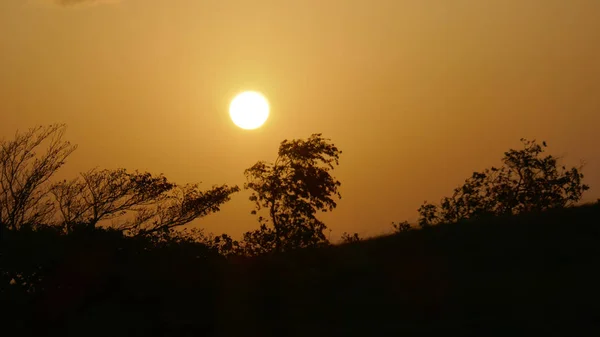 Zonsopgang Met Boom Silhouetten — Stockfoto