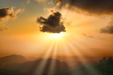 Canlı renkler ve aşağı parlayan yapraklara tam renkli gökyüzü güzel gün batımı