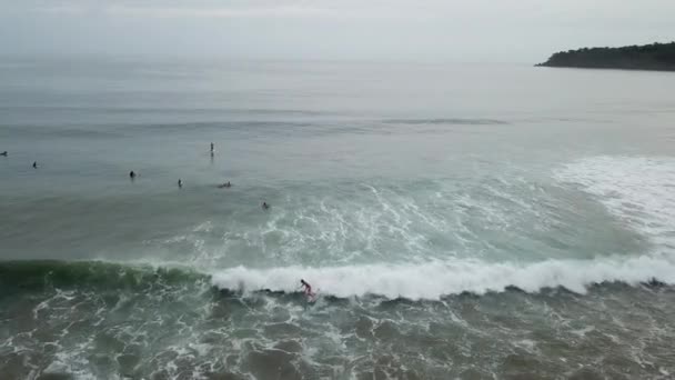 Luchtfoto Van Sommige Surfers Een Strand Panama — Stockvideo