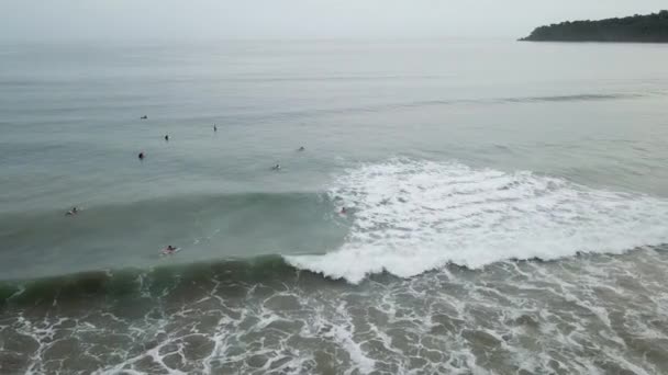 Vue aérienne des surfeurs sortant à la recherche de vagues sur une plage au Panama 