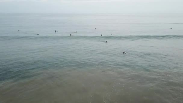 Vue aérienne des surfeurs sortant à la recherche de vagues sur une plage au Panama 