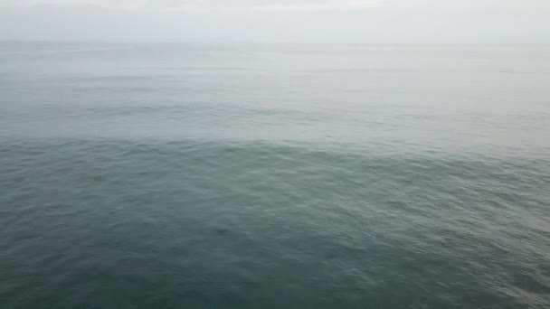 Vue aérienne des surfeurs sortant à la recherche de vagues sur une plage au Panama 