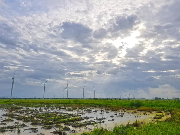 Vista grandangolare di un parco eolico vicino a una risaia — Foto Stock