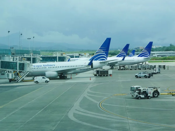 Copa Airlines uçakları Tocumen Airport, Panama'da park etti.