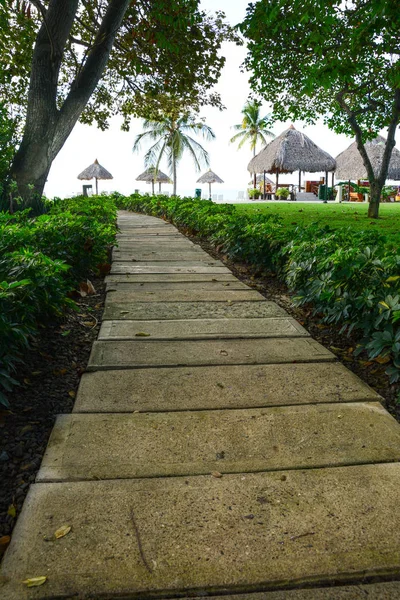 Vertical view of a concrete path in the middle of a tropical bea — Stock Photo, Image