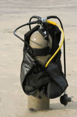 Panama'da bir plajda bir tüplü gerr seti yakın