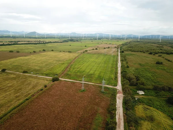 Aerial view of a wind turbines in rice fields plantation  in cen — Stock Photo, Image