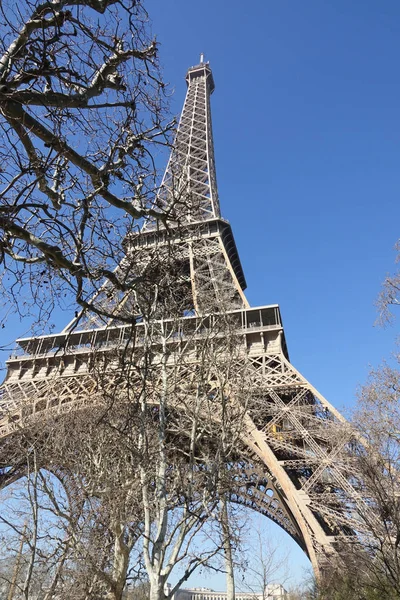 Eiffeltornet från en icke traditionell vinkel med några träd behå — Stockfoto