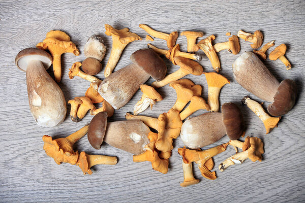 white mushrooms and chanterelle mushrooms on a wooden table
