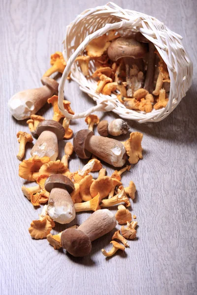 在木桌上的篮子里放蘑菇的牛头和香菇 — 图库照片