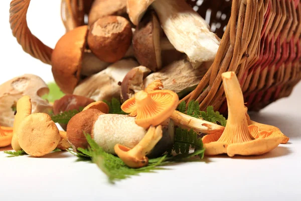 Bronskleurig Cantharellen Paddestoelen Een Mandje Een Witte Achtergrond — Stockfoto