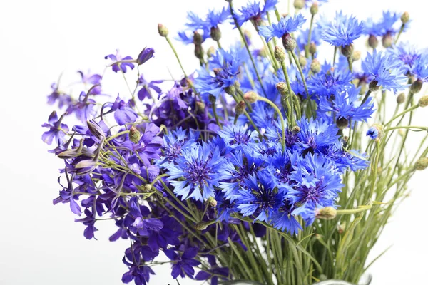 Close Blue Cornflowers White Background — Stock Photo, Image