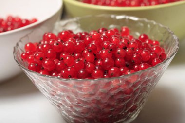 Kase taze kırmızı kuş üzümü yakın çekim