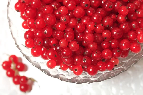 Fresh Red Currants Bowl Close — Stock Photo, Image