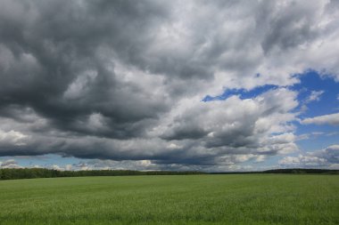 Rusya'da yaz aylarında yeşil bir alan üzerinde mavi gökyüzünde Gri fırtına bulutlar