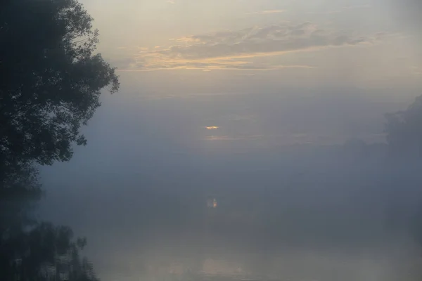 Beautiful Natural Background Tree Water Sun Fog Sunrise — Stock Photo, Image