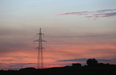 Gün batımında akşam ışığında tarla, çayır ve ormanlı elektrik telleri ve direkleri