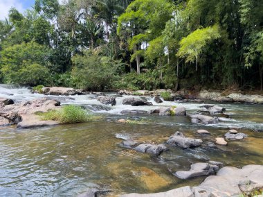 Blumenau 'daki Küçük Orman Nehri