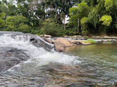 Blumenau 'daki Küçük Orman Nehri