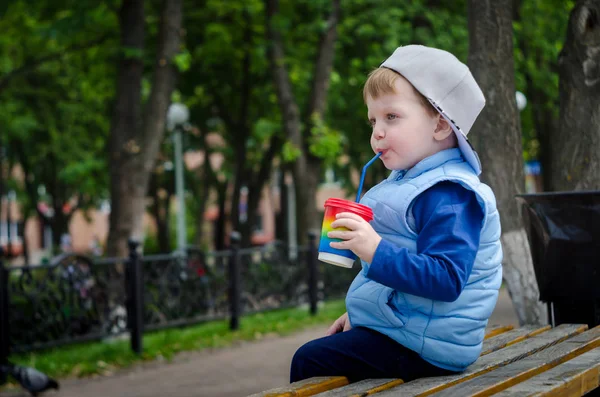 Niño Agradable Dos Años Chaleco Azul Gorra Sienta Parque Banco — Foto de Stock