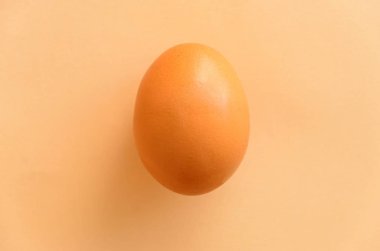 Bej renkli bir arka plan üzerinde bir tavuk kahverengi yumurta.