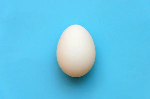 Одно Куриное Белое Яйцо Голубом Фоне — стоковое фото