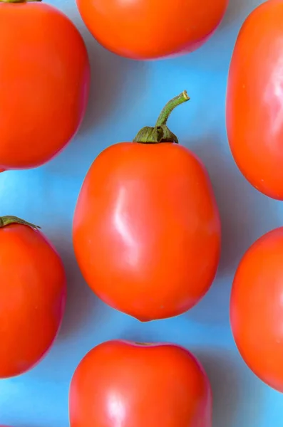 Una Gran Cantidad Tomates Jugosos Color Rojo Brillante Sobre Fondo —  Fotos de Stock