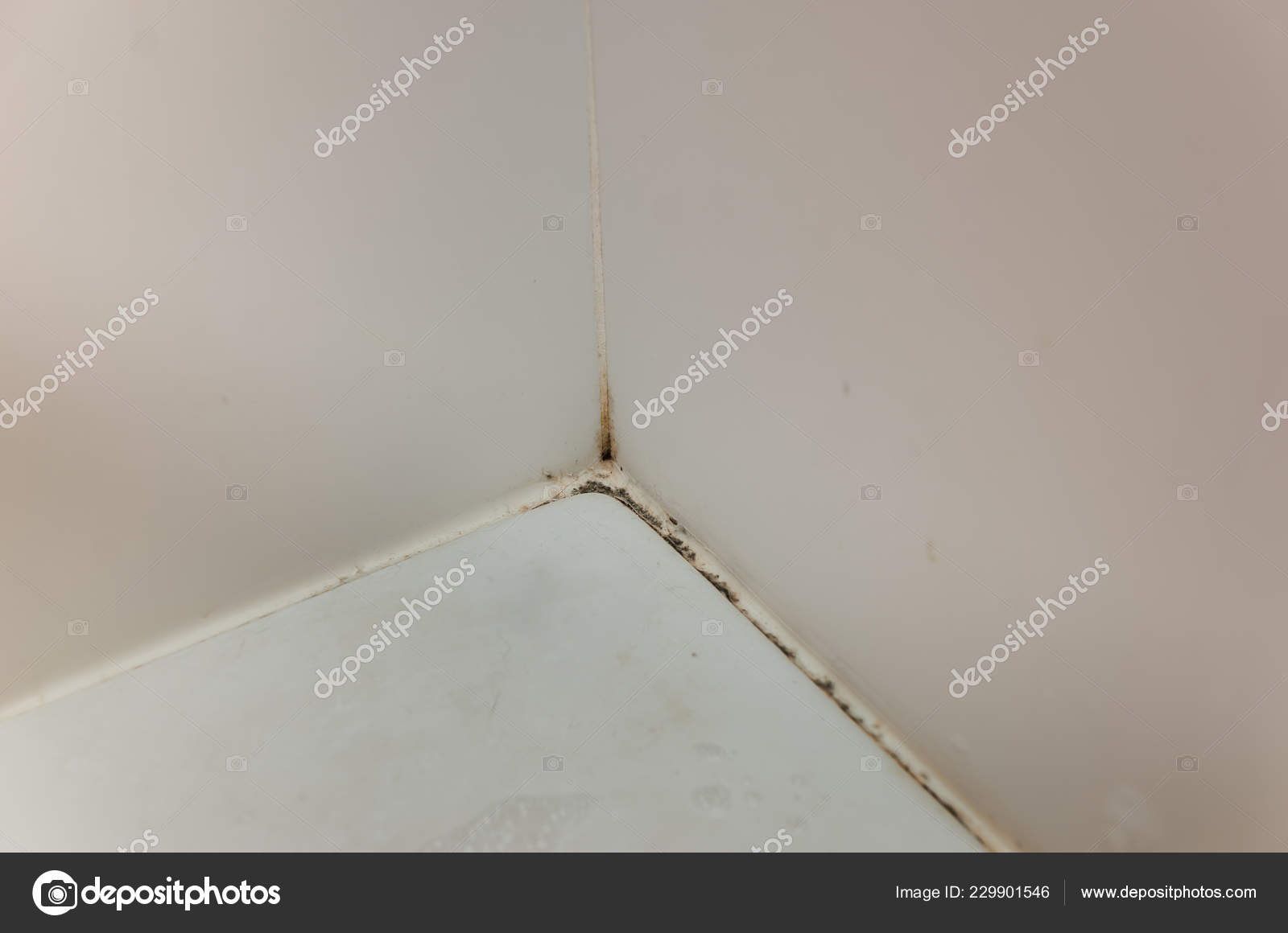 Mold Mushroom Limescale Tile Bathroom Stock Photo by ©Dudaeva 229901546