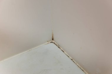 küf, mantar ve banyoda kutunun üzerindeki kireç