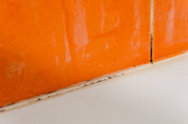 küf, mantar ve banyoda kutunun üzerindeki kireç