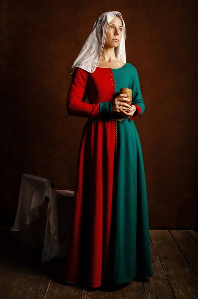 Portrait Une Belle Fille Robe Médiévale Rouge Vert Sur Fond — Photo