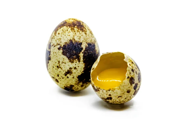 Um ovo de codorna inteiro e uma mancha marrom crua quebrada — Fotografia de Stock