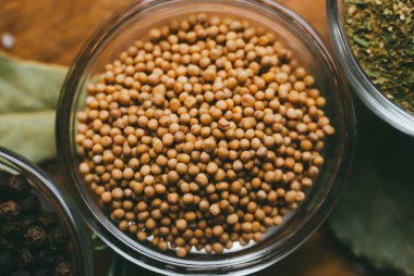 Baharat ile Yuvarlak cam kase - hardal tohumu.