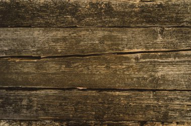 Eski bir kurutulmuş bir ağacın dokusu. Eski bir eski eski eski eski yosun-an