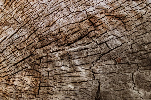 Textura abstrata - uma parte de madeira. Velho corte de árvore rachada. Grunge. — Fotografia de Stock