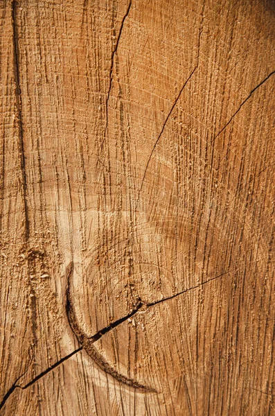 Vieille surface coupée en chêne en bois. Brun foncé chaud détaillé et / ou — Photo