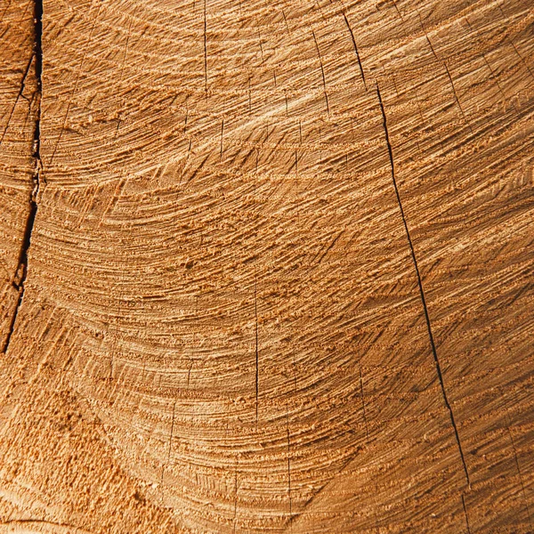 Vieille surface coupée en chêne en bois. Brun foncé chaud détaillé et / ou — Photo