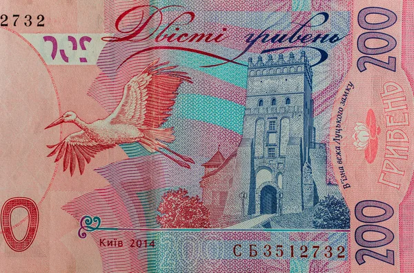 Szczegóły, część, fragment ukraińskiej waluty hrywny. Banknot 2 — Zdjęcie stockowe