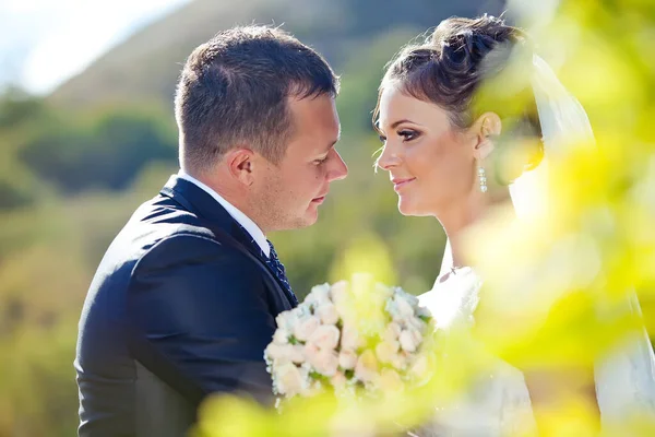 Casamento. Noiva e noivo no dia do casamento. Um par de amantes . — Fotografia de Stock