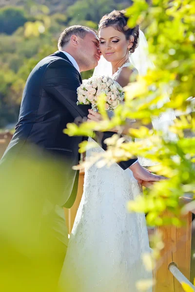 Bröllop. Brud och brudgum på deras bröllopsdag. Ett par älskare. — Stockfoto