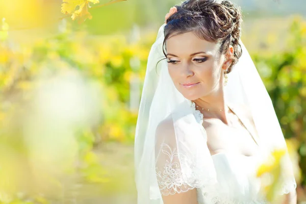 Beautiful bride on the nature. — Stock Photo, Image