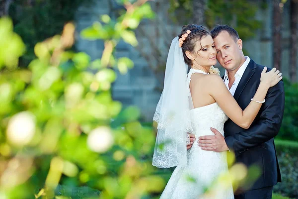 Casamento. Noiva e noivo no dia do casamento. Um par de amantes . — Fotografia de Stock