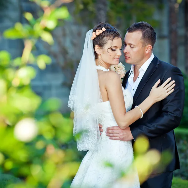 Casamento. Noiva e noivo no dia do casamento. Um par de amantes . — Fotografia de Stock