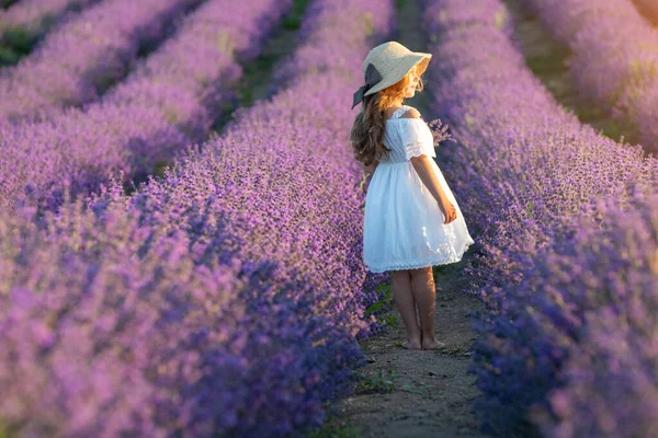 Vacker flicka på ett fält med lavendel. — Stockfoto