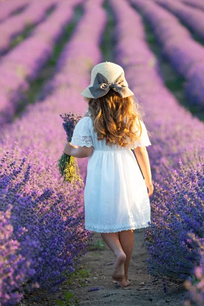 Hermosa chica en un campo con lavanda. — Foto de Stock